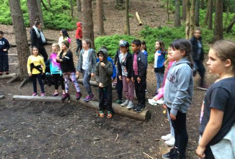 PGL Residential 2018