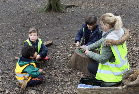 Nursery and Reception Explore in the Woods