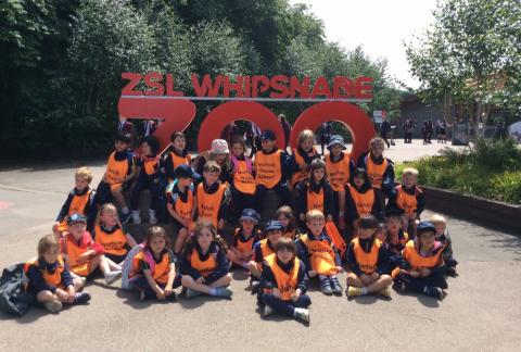 Reception enjoyed a visit to Whipsnade Zoo